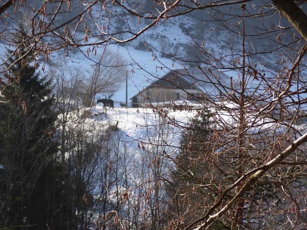 Ferme Auberge A La Colline Ferdrupt Eksteriør billede
