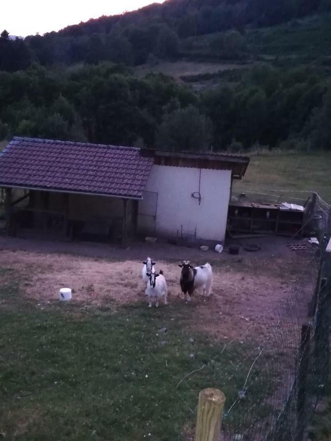 Ferme Auberge A La Colline Ferdrupt Eksteriør billede
